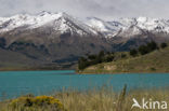 Perito Moreno National Park