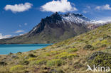 Perito Moreno National Park