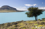 Perito Moreno National Park