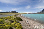 Perito Moreno National Park