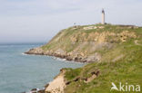 Phare de Cap Gris-Nez