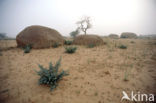 Sahel