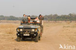 South Luangwa National Park