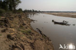 South Luangwa National Park