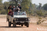 South Luangwa National Park