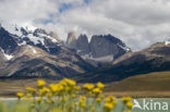 Torres del Paine National Park