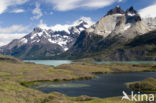 Torres del Paine National Park