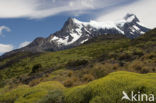 Torres del Paine National Park