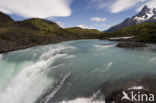 Torres del Paine National Park