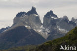 Torres del Paine National Park