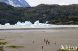 Torres del Paine National Park