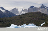 Torres del Paine National Park