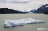 Torres del Paine National Park