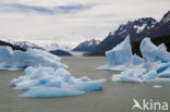 Torres del Paine National Park