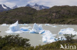 Torres del Paine National Park