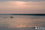 Waddenzee