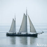 Waddensea