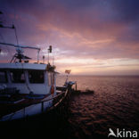 Waddensea