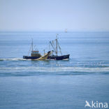 Waddenzee