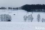 biosphere reserve Karstlandschaft Südharz