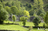 Cordillera Cantábrica