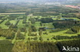 Horsterwold
