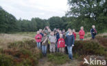 Nationaal Park De Hoge Veluwe