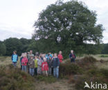 National Park De Hoge Veluwe