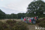 National Park De Hoge Veluwe