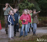 Nationaal Park De Hoge Veluwe