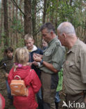 Nationaal Park De Hoge Veluwe