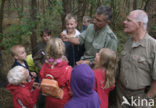 National Park De Hoge Veluwe