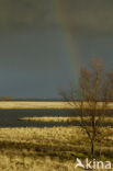 National Park Oosterschelde