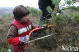 Nationaal Park Veluwezoom