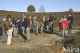 Nationaal Park Veluwezoom