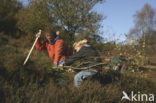 Nationaal Park Veluwezoom