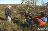 Nationaal Park Veluwezoom