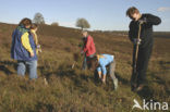 Nationaal Park Veluwezoom