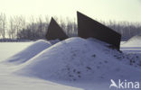 Observatorium Robert Morris