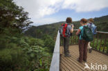 Parque Nacional Monteverde