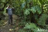 Parque Nacional Tapanti