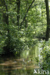 Prinsenloop