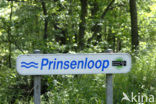 Prinsenloop