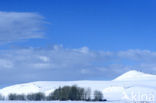 Pyrenees