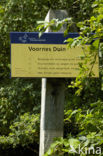 Voornes Duin