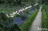 Garten Bender Lucenz