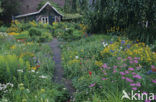 Garten Stenkamp