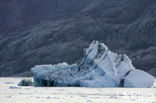 Greenland