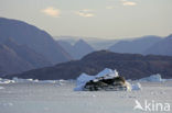 Greenland
