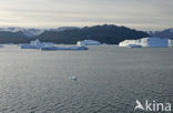 Greenland